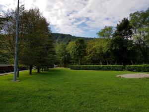 KoloPark na Brajdi pred deli (Foto Matjaž Kos)-1800